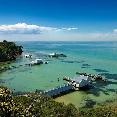 Bayplay Beach Cottage - Pet Friendly Queenscliff Quarto foto