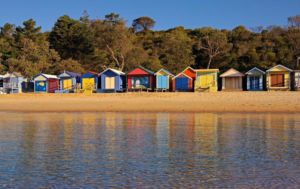 Bayplay Beach Cottage - Pet Friendly Queenscliff Quarto foto